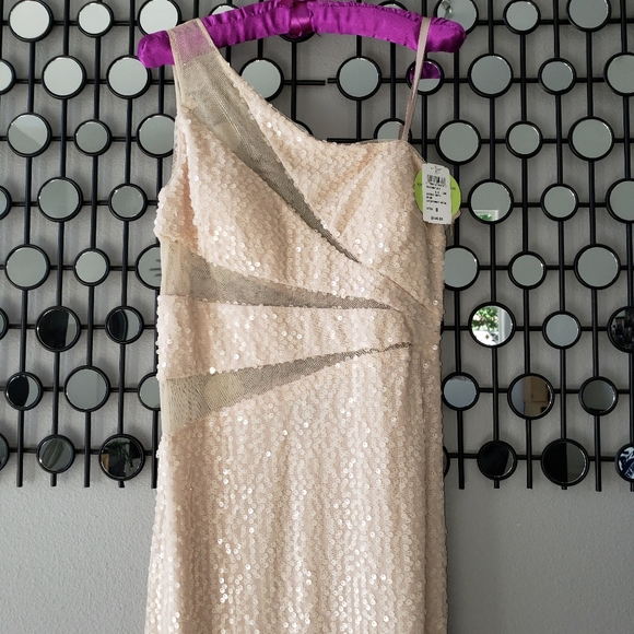 Adrianna Pappell Hailey Sequin Mesh Cutout Gown - Picture 3 of 9